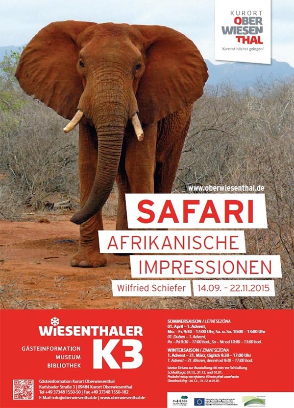Safari - Afrikanische Impressionen