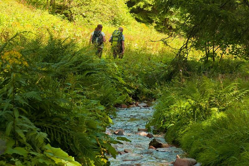 Wandern am Bach