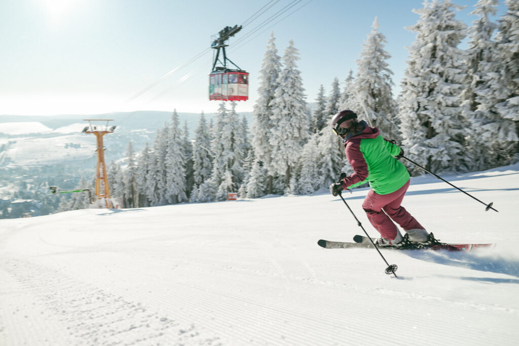 Ski Alpin