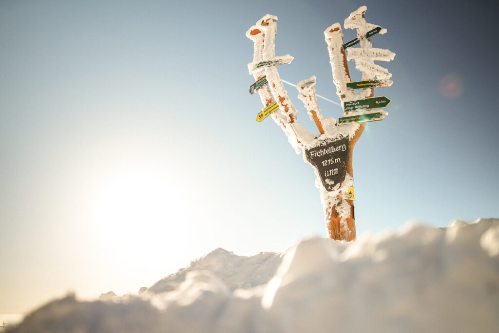 Wegweiser im Winter