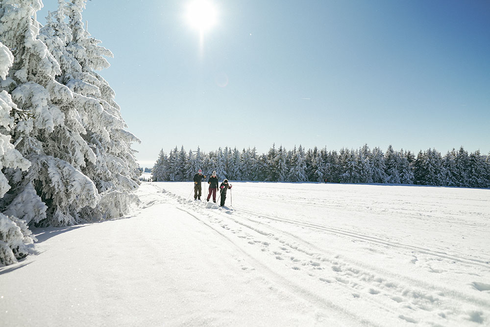 Langlauf in Oberwiesenthal