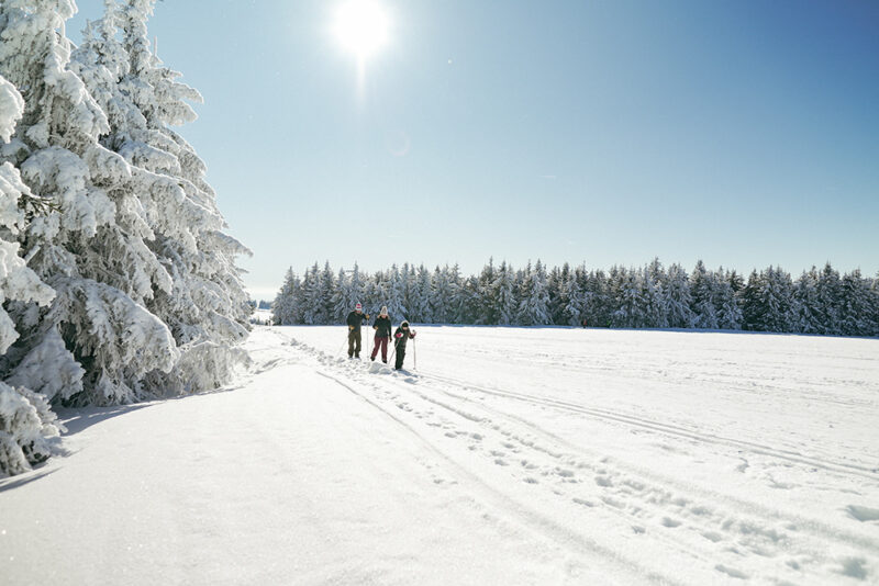 Langlauf auf dem Fichtelberg