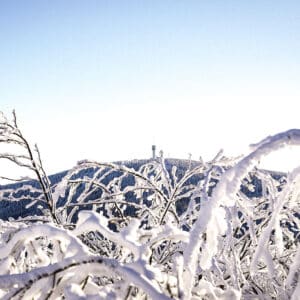 Blick zum Keilberg im Winter